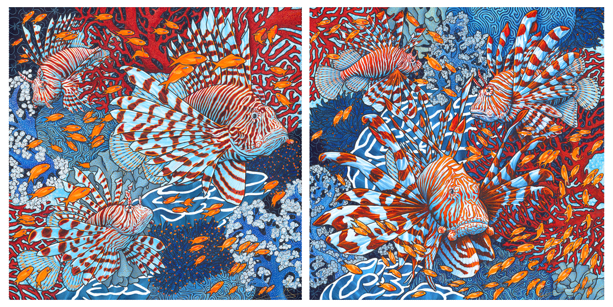 Charger la vidéo : 